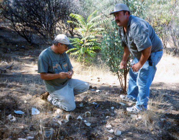 Volunteers examining an historic site during a CASSP workshop field trip in 2001